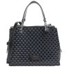 Emporio Armani Sac A Main Logo Bijou Aigle Annie | Sac A Main